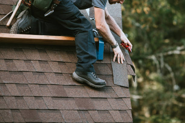 Best Roof Leak Repair  in Carrollton, MO